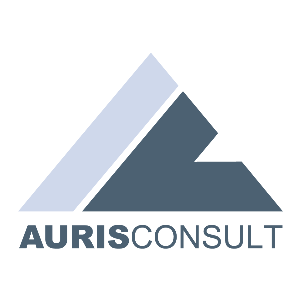 AURIS IT Consult